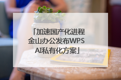 加速国产化进程 金山办公发布WPS AI私有化方案