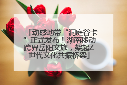 动感地带“洞庭谷卡”正式发布！湖南移动跨界岳阳文旅，架起Z世代文化共振桥梁