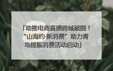 助推电商直播跨域破圈！“山海约·新消费”助力青岛提振消费活动启动
