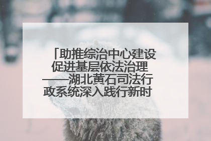 助推综治中心建设 促进基层依法治理——湖北黄石司法行政系统深入践行新时代枫桥经验