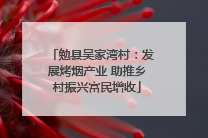 勉县吴家湾村：发展烤烟产业 助推乡村振兴富民增收