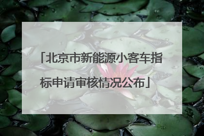 北京市新能源小客车指标申请审核情况公布