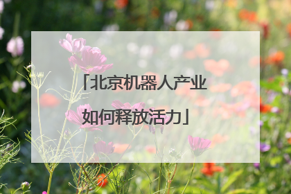 北京机器人产业如何释放活力
