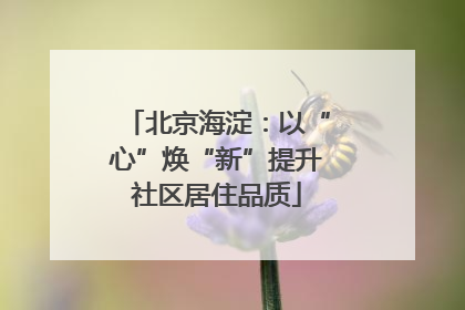 北京海淀：以“心”焕“新”提升社区居住品质