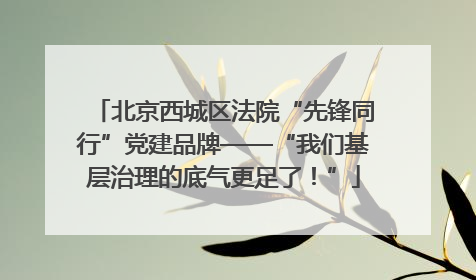 北京西城区法院“先锋同行”党建品牌——“我们基层治理的底气更足了！”