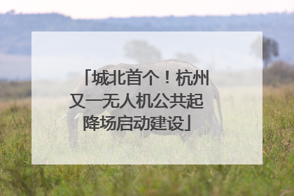 城北首个！杭州又一无人机公共起降场启动建设