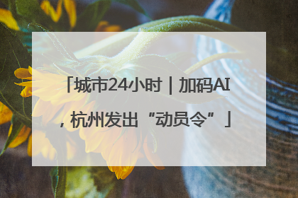 城市24小时｜加码AI，杭州发出“动员令”