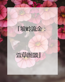 坡岭流金：萱草图景