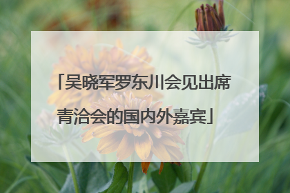 吴晓军罗东川会见出席青洽会的国内外嘉宾