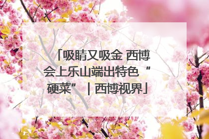 吸睛又吸金 西博会上乐山端出特色“硬菜”｜西博视界