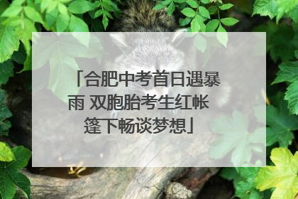 合肥中考首日遇暴雨 双胞胎考生红帐篷下畅谈梦想