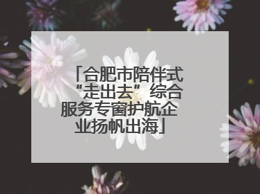 合肥市陪伴式“走出去”综合服务专窗护航企业扬帆出海