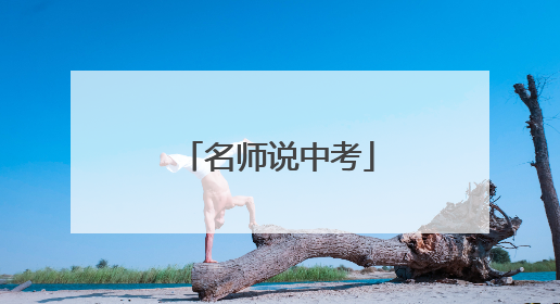 名师说中考