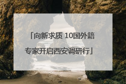 向新求质 10国外籍专家开启西安调研行
