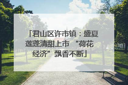 君山区许市镇：盛夏莲蓬清甜上市 “荷花经济”飘香不断