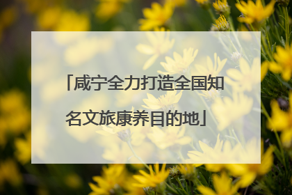 咸宁全力打造全国知名文旅康养目的地