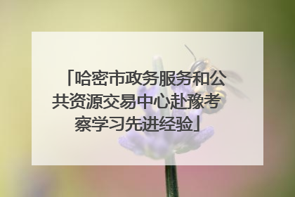 哈密市政务服务和公共资源交易中心赴豫考察学习先进经验