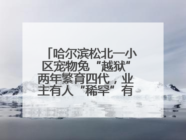 哈尔滨松北一小区宠物兔“越狱”两年繁育四代，业主有人“稀罕”有人忧，专家提醒