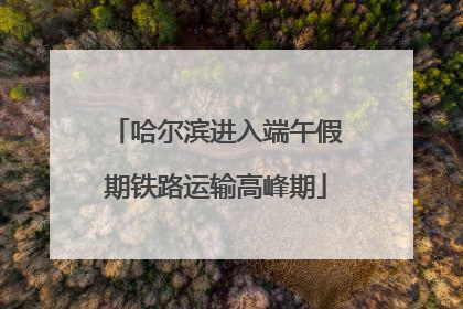 哈尔滨进入端午假期铁路运输高峰期