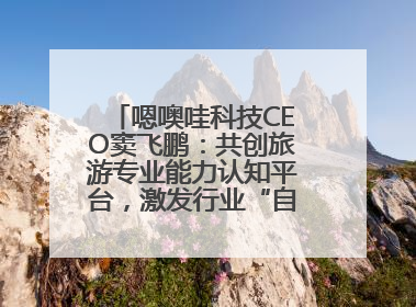 嗯噢哇科技CEO窦飞鹏：共创旅游专业能力认知平台，激发行业“自生长”力量