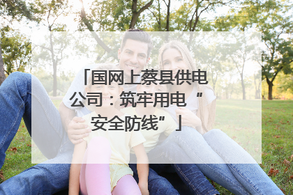 国网上蔡县供电公司：筑牢用电“安全防线”