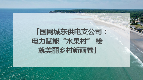 国网城东供电支公司：电力赋能“水果村” 绘就美丽乡村新画卷
