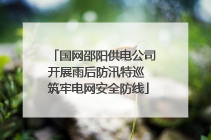 国网邵阳供电公司开展雨后防汛特巡 筑牢电网安全防线
