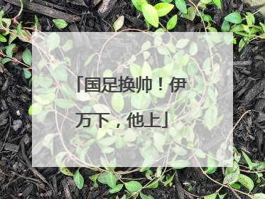 国足换帅！伊万下，他上