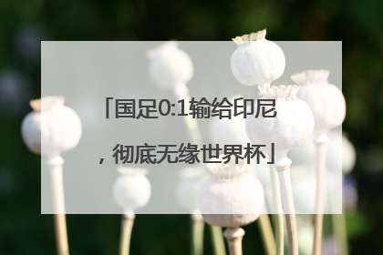 国足0:1输给印尼，彻底无缘世界杯