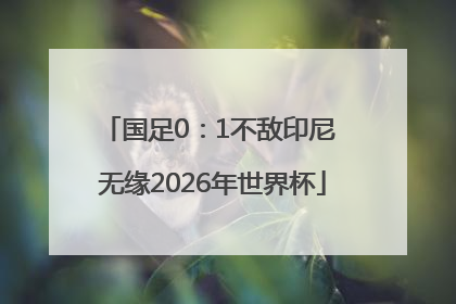 国足0：1不敌印尼 无缘2026年世界杯