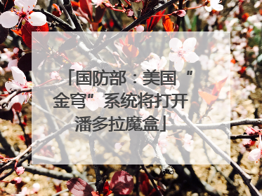 国防部：美国“金穹”系统将打开潘多拉魔盒