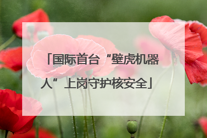 国际首台“壁虎机器人”上岗守护核安全