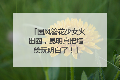 国风簪花少女火出圈，昆明真把墙绘玩明白了！