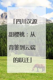 四川汉源甜樱桃：从背篓到云端的跃迁