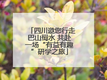 四川邀您行走巴山蜀水 共赴一场“有益有趣”研学之旅