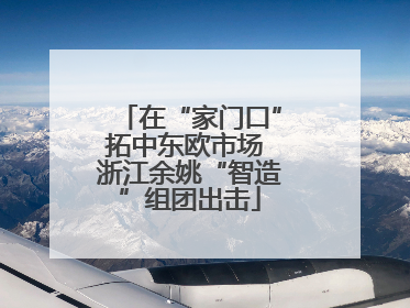 在“家门口”拓中东欧市场 浙江余姚“智造”组团出击