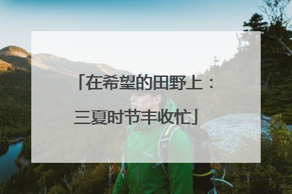 在希望的田野上：三夏时节丰收忙