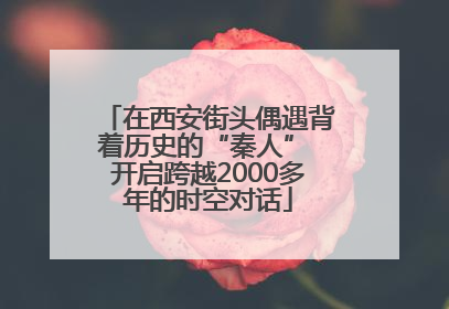 在西安街头偶遇背着历史的“秦人” 开启跨越2000多年的时空对话