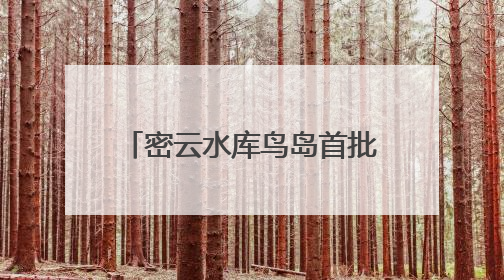 密云水库鸟岛首批幼鸟成功离巢试飞