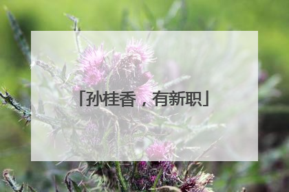 孙桂香，有新职