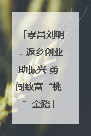 孝昌刘明：返乡创业助振兴 勇闯致富“桃”金路