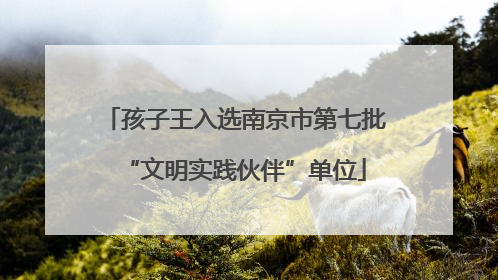 孩子王入选南京市第七批“文明实践伙伴”单位
