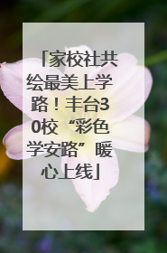 家校社共绘最美上学路！丰台30校“彩色学安路”暖心上线
