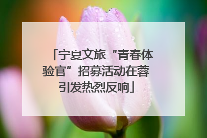 宁夏文旅“青春体验官”招募活动在蓉引发热烈反响