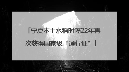 宁夏本土水稻时隔22年再次获得国家级“通行证”