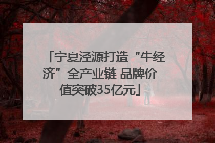 宁夏泾源打造“牛经济”全产业链 品牌价值突破35亿元