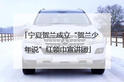 宁夏贺兰成立“贺兰少年说”红领巾宣讲团