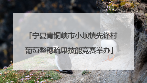 宁夏青铜峡市小坝镇先锋村葡萄整穗疏果技能竞赛举办