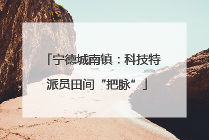 宁德城南镇：科技特派员田间“把脉”