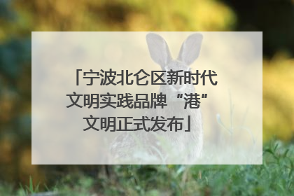 宁波北仑区新时代文明实践品牌“港”文明正式发布